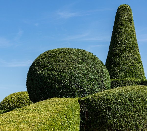 Comment choisir le bon éclairage pour votre jardin