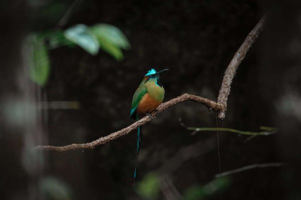 Comment choisir le bon système d'éclairage pour sa piscine