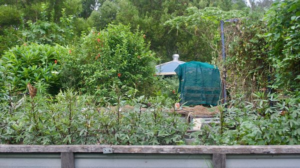 Comment réaliser un jardin de permaculture sur un balcon ?
