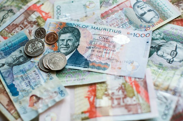 Quelle est la meilleure méthode pour créer un mur végétal anti-pollution en milieu urbain ?